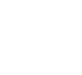category_icon