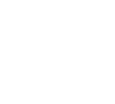 category_icon